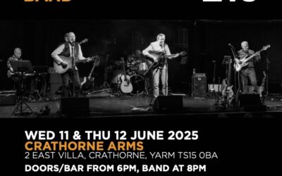 THE COLIN HOLTBAND